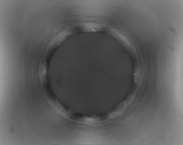 X0000114520314200910191200