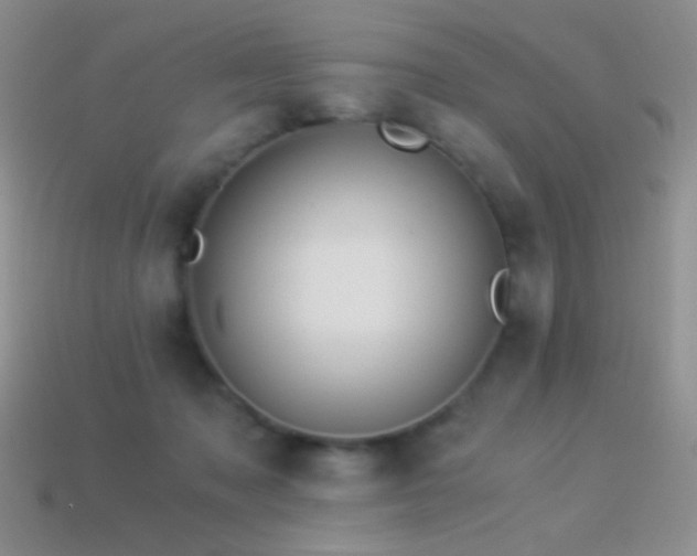 X0000114520317200910191200