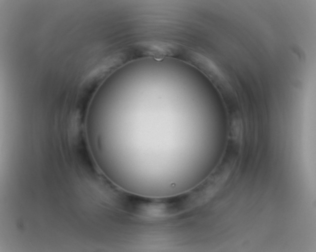 X0000114520318200910191200