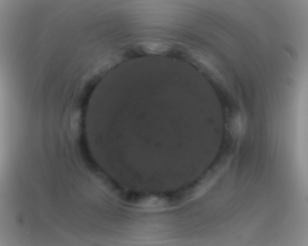 X0000114520319200910191200