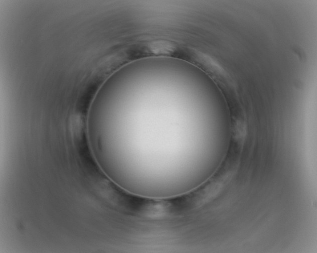 X0000114520321200910191200