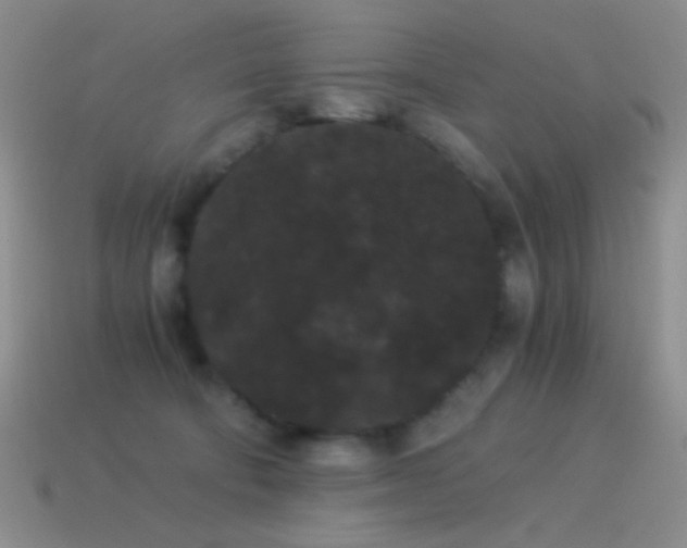 X0000114520322200910191200