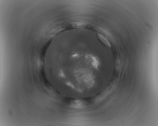 X0000114520324200910191200