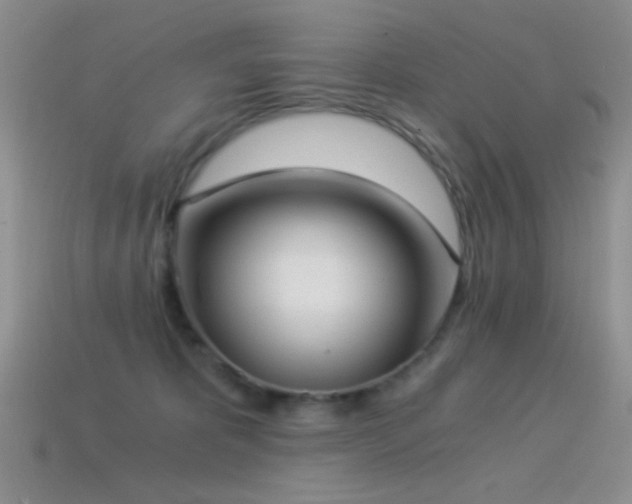 X0000114520325200910191200