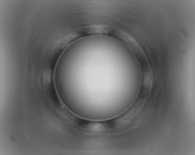 X0000114520326200910191200