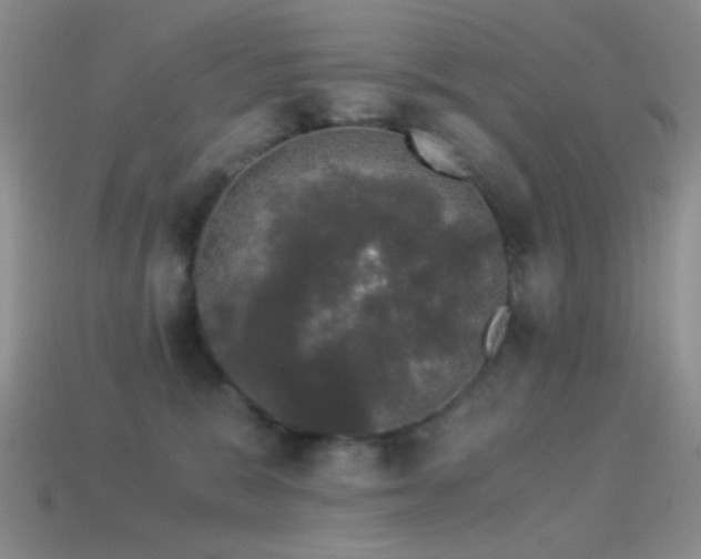 X0000114520327200910191200