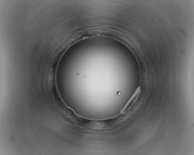 X0000114520328200910191200