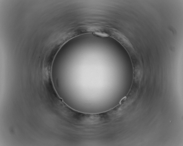 X0000114520329200910191200