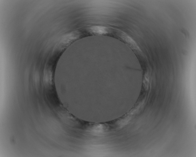 X0000114520330200910191200