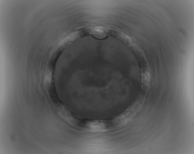 X0000114520331200910191200