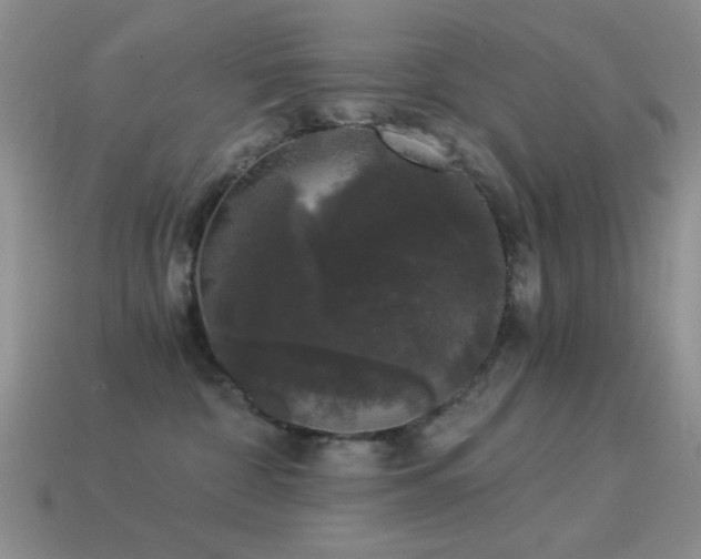 X0000114520332200910191200