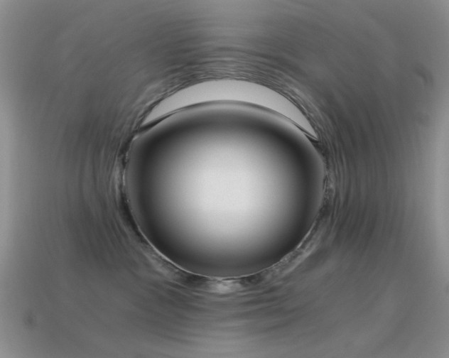 X0000114520333200910191200