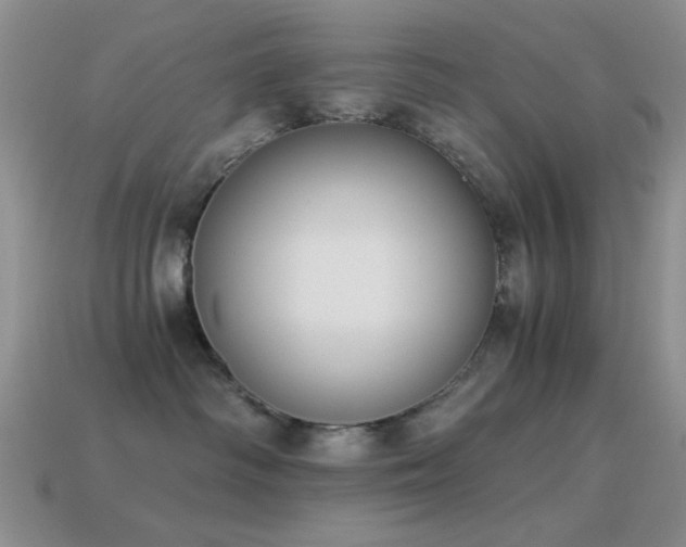 X0000114520334200910191200