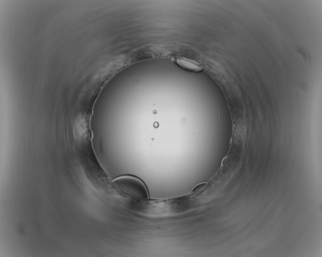 X0000114520335200910191200