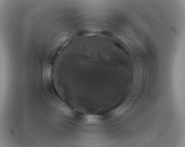 X0000114520336200910191200