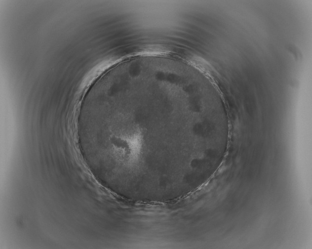 X0000114520337200910191159