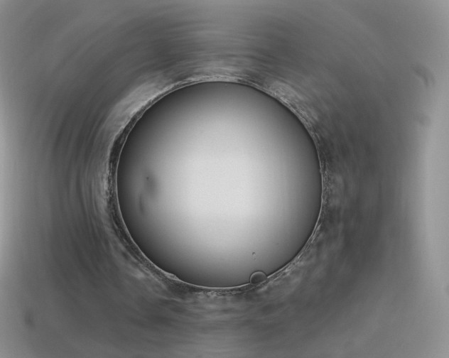 X0000114520338200910191159