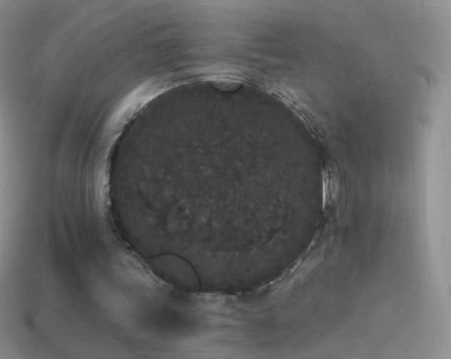 X0000114520339200910191159