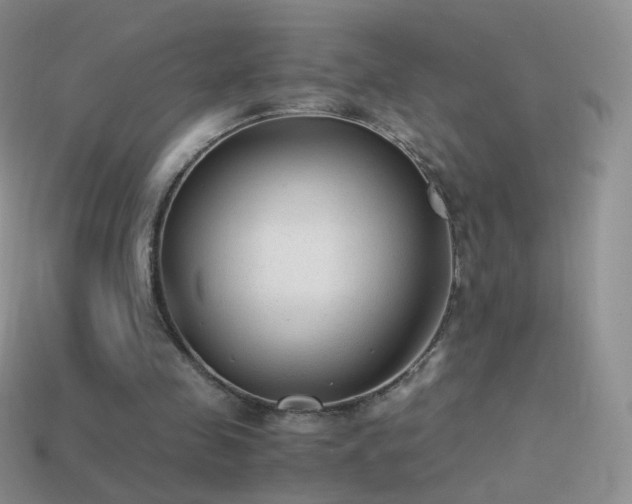 X0000114520341200910191159