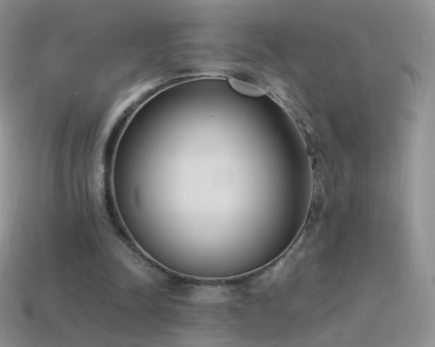 X0000114520342200910191159