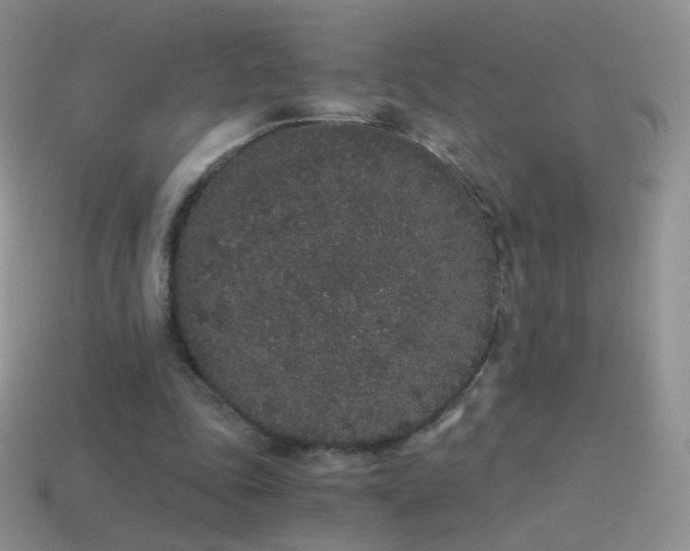 X0000114520343200910191159