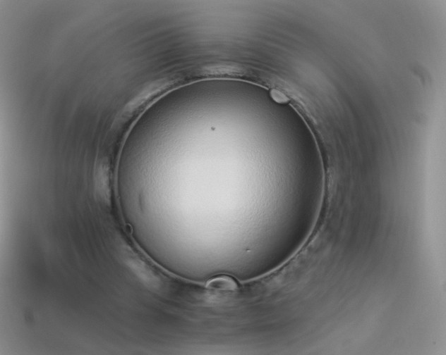 X0000114520345200910191159