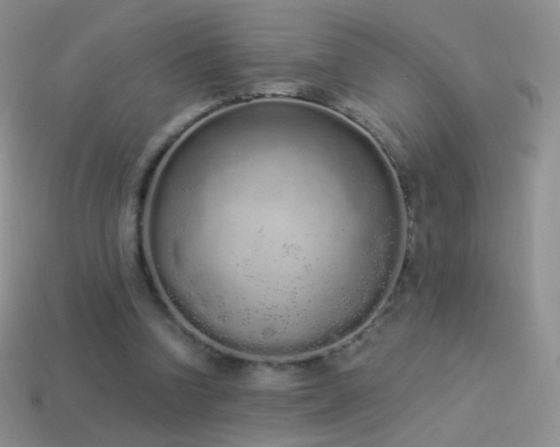 X0000114520346200910191159