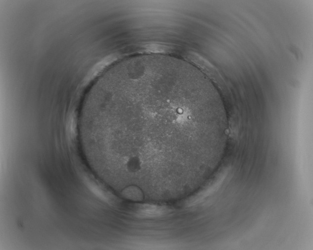 X0000114520347200910191159