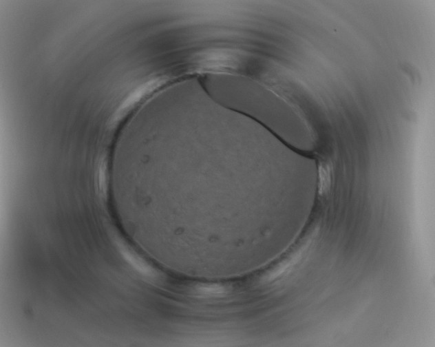 X0000114520349200910191159