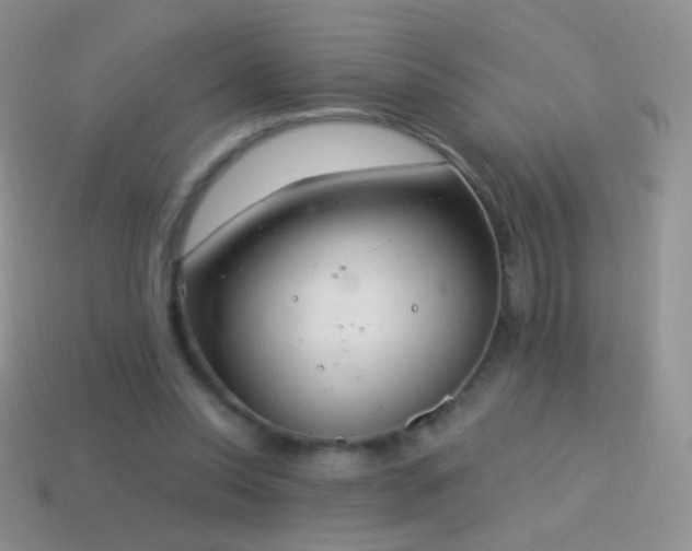 X0000114520350200910191159