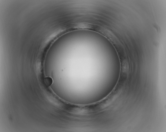 X0000114520351200910191159