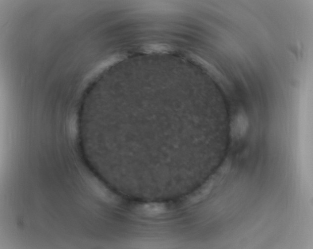 X0000114520353200910191159