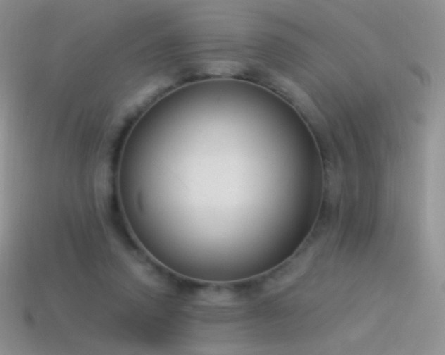 X0000114520354200910191159