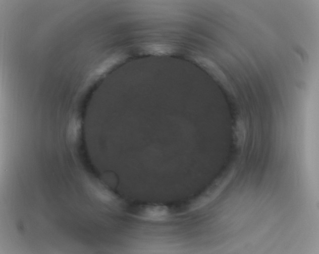 X0000114520355200910191159