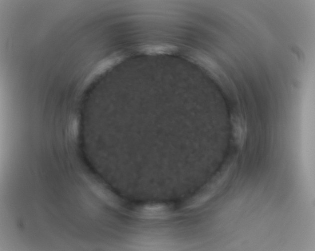 X0000114520357200910191159