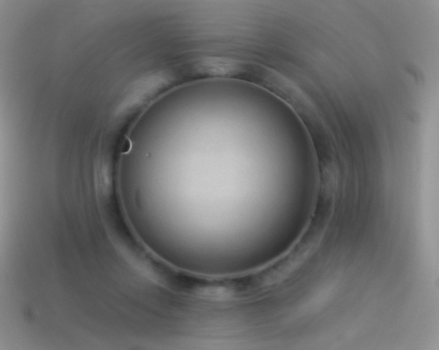 X0000114520358200910191159