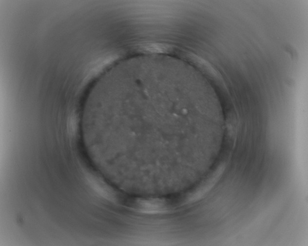 X0000114520359200910191159