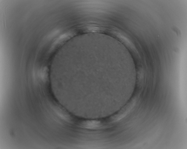 X0000114520361200910191159