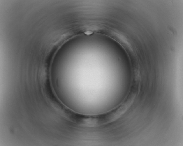 X0000114520362200910191159