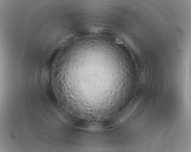 X0000114520363200910191159