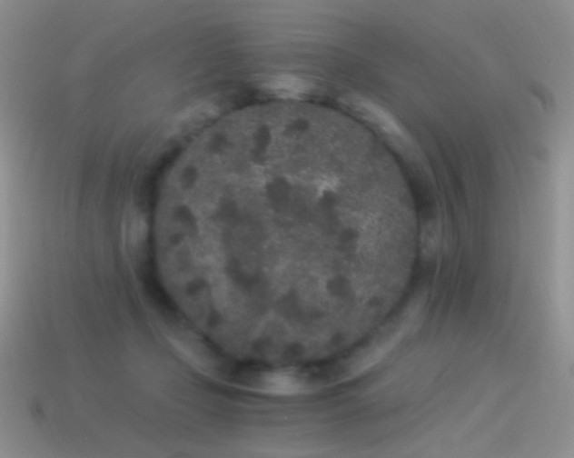 X0000114520365200910191200