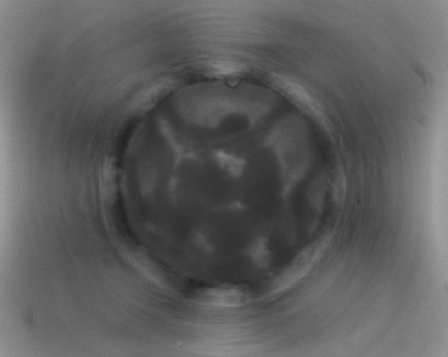 X0000114520366200910191200