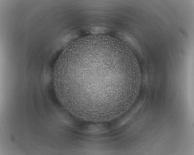 X0000114520367200910191200