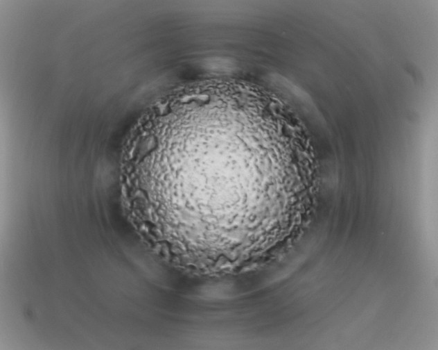 X0000114520369200910191200