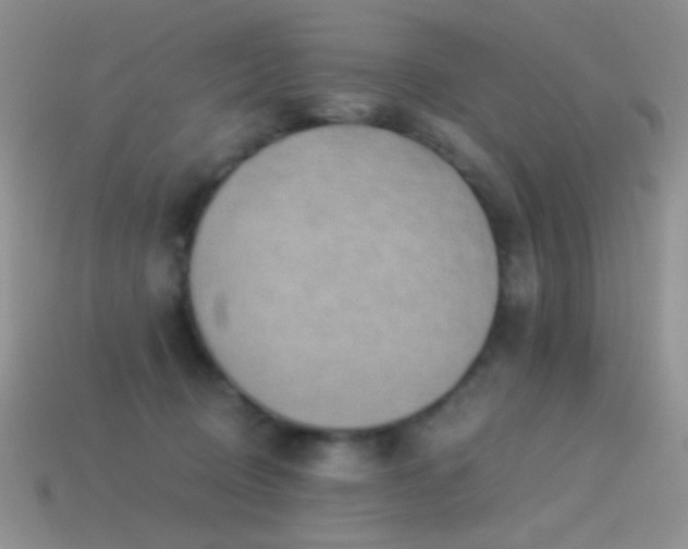 X0000114520370200910191200