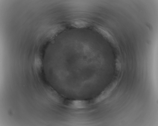 X0000114520371200910191200