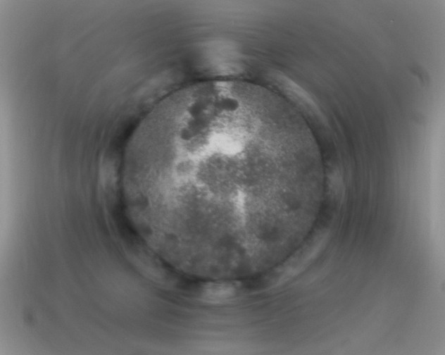 X0000114520373200910191200