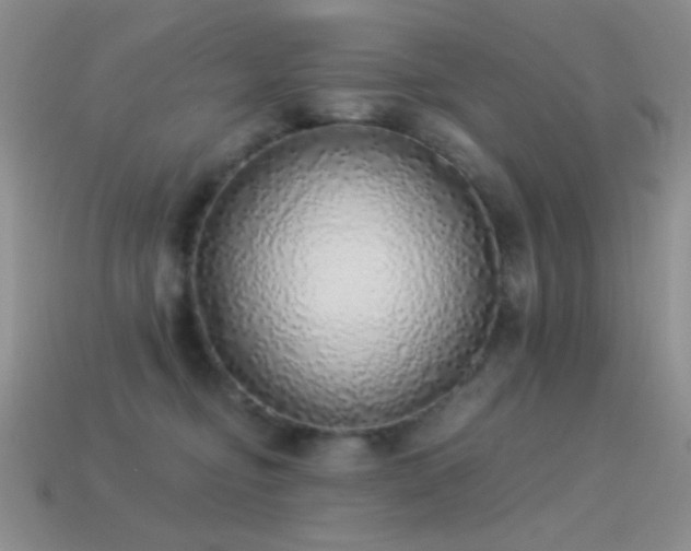 X0000114520374200910191200