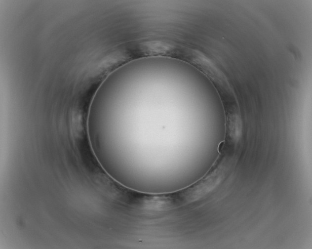 X0000114520378200910191200