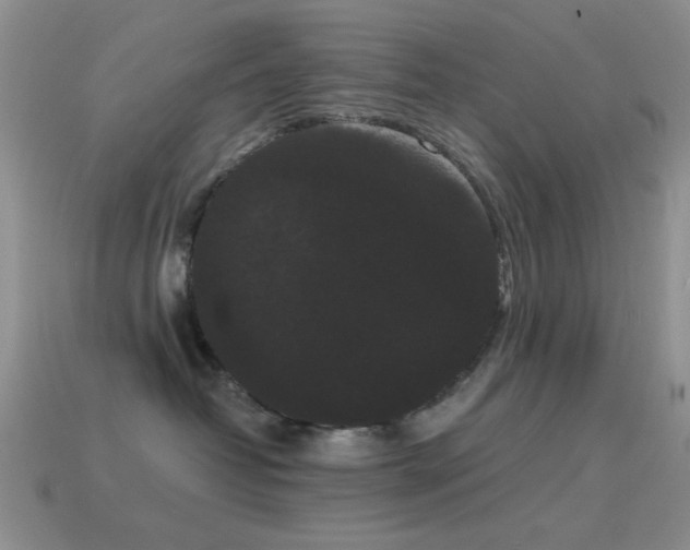 X0000114520382200910191200